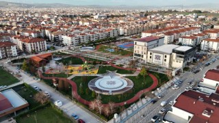 Tomruk kafe Altıeylüle çok yakışacak