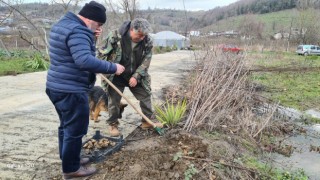 Toprak altında yetişen yer elmasının hasadı başladı