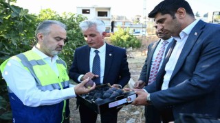 Toprak, Bursa Büyükşehirle bereketleniyor