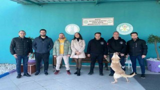 Trüf mantarını eğitimli köpekler bulacak