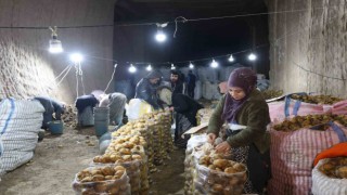 Türkiyenin patates ihtiyacı Kapadokyadaki depolardan karşılanıyor