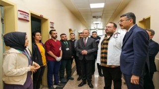 Vali Çelik, Yüksekovada incelemelerde bulundu