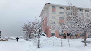 Van güne kar yağışıyla uyandı