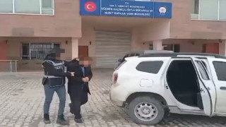 Vanda 10 organizatör tutuklandı
