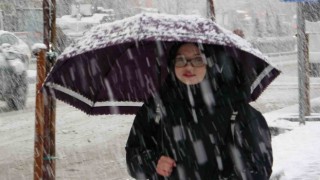 Vanda kar yağışı etkisini artırdı