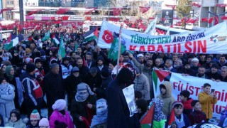 Vanlılar soğuk havaya rağmen Filistin için yürüdü
