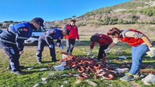 Yol kenarına atılan 100 kilo bozuk sucuk imha edildi