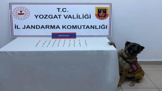 Yozgatta 61 adet uyuşturucu hap ele geçirildi