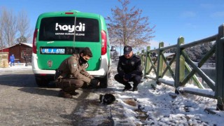 Yozgatta polis ekipleri sokak hayvanlarını unutmadı