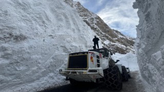 Yüksekovada çığ bölgesindeki kar kalınlığı 10 metreyi geçti