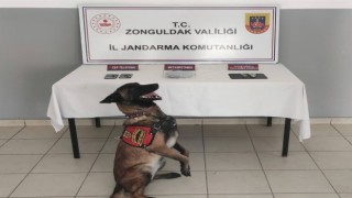 Zonguldakta jandarmadan uyuşturucu operasyonu