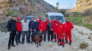 100 metre yükseklikte nefes kesen keçi kurtarma operasyonu