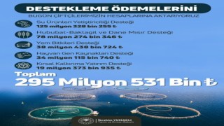 295 milyon 531 bin lira tarımsal destekleme ödemesi çiftçilerin hesabına yatırılacak