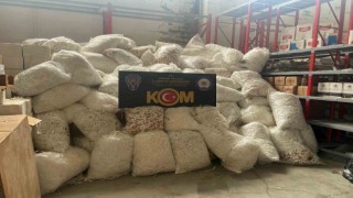 Adanada 22 milyon 500 bin makaron ele geçirildi