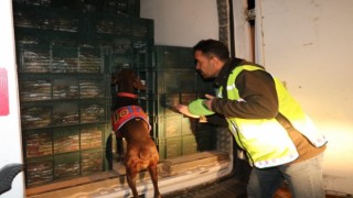 Adıyamanda jandarmadan uyuşturucu operasyonu