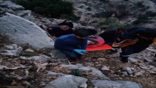 Ağaç dalı keserken fenalaşan kişi hayatını kaybetti