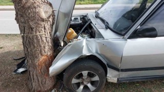 Ağaca çarpan Tofaş hurdaya döndü: 1 yaralı