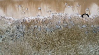 Akdeniz kıyılarını denizanaları bastı: Kızkalesi sahiline yüzlercesi vurdu