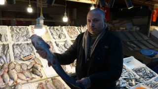 Akdenizde balık bereketi