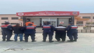 Alanyada 15 kasa avokado çalan 2 hırsız yakalandı