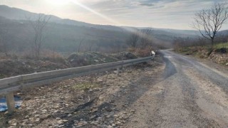 Alaplıda tehlikeli yollara çelik bariyer yerleştiriliyor