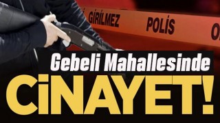 Kardeşler Arasındaki Kavga Kanlı Bitti: 2 Ölü