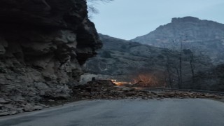 Artvin-Ardanuç karayolunda heyelan