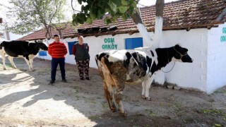 Aydın ve Muğlaya 30 Milyon TL ORKÖY desteği