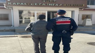 Aydında eşzamanlı “hırsızlık” operasyonu: 20 yakalama