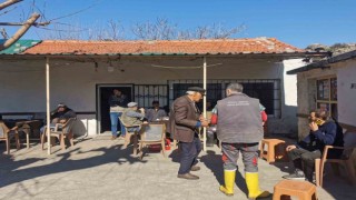 Aydında hayvan sağlığı saha çalışmaları devam ediyor