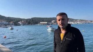 Ayvalıkta yaklaşık 100 yaşındaki ölü Caretta Caretta sahile vurdu