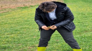 Babaeskide ekili alanlarda fonolojik gözlem çalışmaları devam ediyor