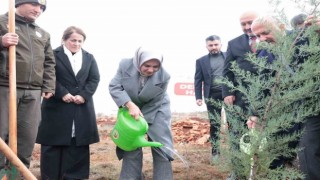 Bakan Göktaş deprem şehitleri adına fidan dikti