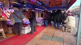 Balıkçılarda en çok hamsi ve palamut tercih ediliyor