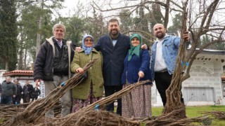 Balıkesir Büyükşehirden Sındırgıya 16 bin ceviz ve badem fidanı