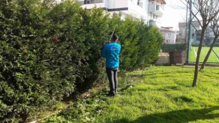 Başiskelede bahar hazırlıkları erken başladı