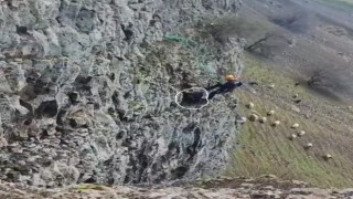 Batmanda 5 gün kayalıklarda mahsur kalan keçi kurtarıldı
