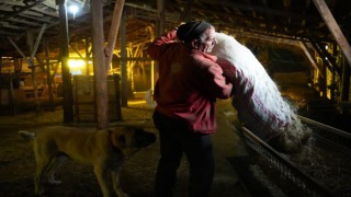 Bayburttaki besici eksi 25 derecede hayvancılık işini severek yapıyor sürüsüne gözü gibi bakıyor