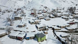 Beytüşşebapın 150 haneli köyünde tek katlı evler kara teslim oldu