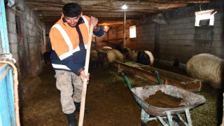 Beytüşşebapta besicilerin zorlu kış mesaisi sürüyor