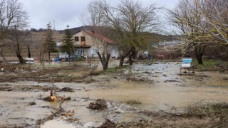 Bilecikte Karasu Deresi taştı, birçok tarım arazisi ve iki ev su altında kaldı