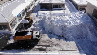 Bitliste kamyonlar kar taşınıyor