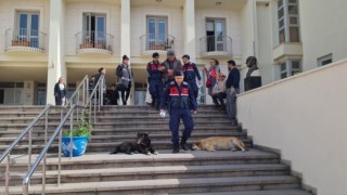 Muğla Bodrum'da 12 hayvanı zehirlediği iddia edilen şahıs yakalandı