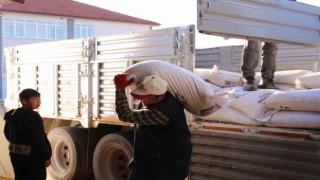 Büyükşehirden, 68 üreticiye 2061 çuval daha süt yemi desteği