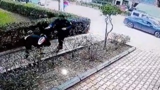 Çaldığı köpeğin sahibine ve polise bıçak çekti, gözaltına alındı