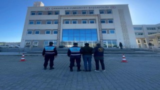 Çanakkalede 1 koç ve 3 koyun çalan 2 şüpheli jandarma tarafından yakalandı