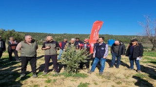 Çanakkalede Zeytin Yetiştiricilerine eğitim verildi