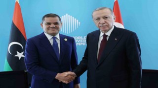 Cumhurbaşkanı Erdoğan, Dibeybeyi kabul etti