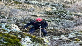 Dağlık alanda uçuruma yuvarlanan 5 keçiyi itfaiye kurtardı