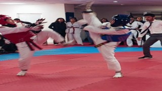 DBB tekvando sporcuları Diyarbakırı temsil edecek